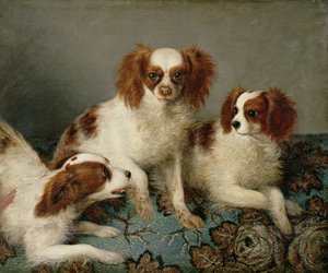 Tre Cavalier King Charles Spaniels på et tæppe af English School